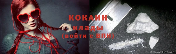 молекула духа Богородицк