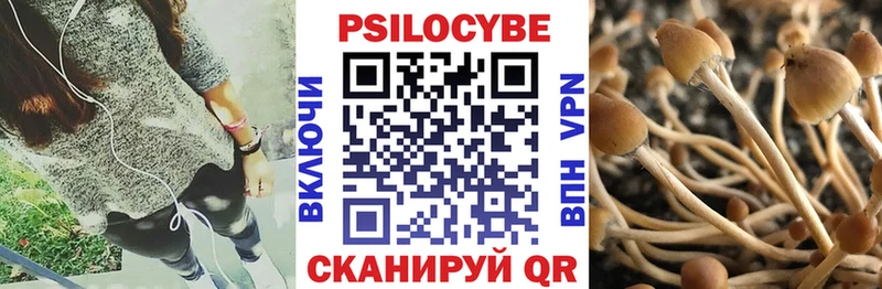 купить наркоту  Вилючинск  darknet состав  Псилоцибиновые грибы Magic Shrooms 